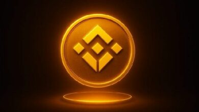 منصة باك باك تطلق خدمات تداول وإقراض البنك بلوكشين (BNB) بالهامش