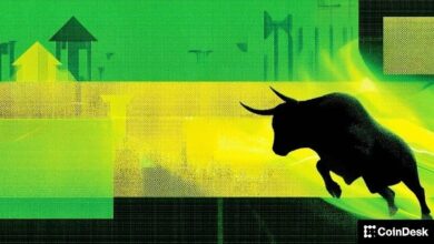 الاستثمار في 'أكتوبر الصاعد': البنك الاستثماري الأكبر في البرازيل يختار 5 عملات رقمية مفضلة