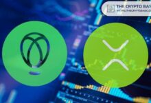 أكبر بورصة أمريكية: XRP لا يُحتفظ فحسب، بل يُربح ويُضاعف