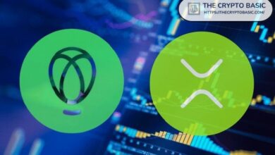 أكبر بورصة أمريكية: XRP لا يُحتفظ فحسب، بل يُربح ويُضاعف