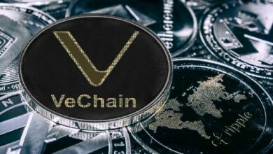 خزينة VeChain تهبط إلى 167 مليون دولار مع استمرار تراجع أداء VET