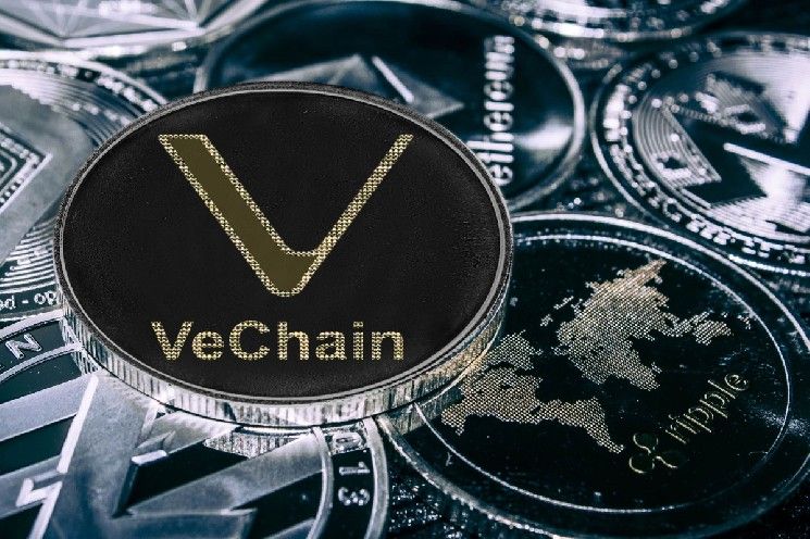 خزينة VeChain تهبط إلى 167 مليون دولار مع استمرار تراجع أداء VET