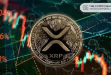 خبير يكشف السبب وراء استمراره في شراء XRP عند الانخفاضات