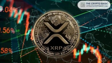 خبير يكشف السبب وراء استمراره في شراء XRP عند الانخفاضات