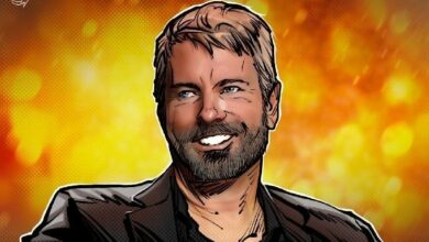 سايلور: عدم اليقين يحول دون قيام استراتيجية بشراء المنافسين