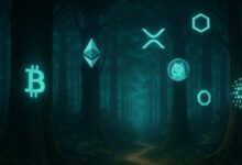 انتهى سوق الثيران للعملات الرقمية؟ رئيس Lekker Capital الاستثماري يحذر: لا تفوت فرصة السوق الكلي