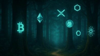 انتهى سوق الثيران للعملات الرقمية؟ رئيس Lekker Capital الاستثماري يحذر: لا تفوت فرصة السوق الكلي