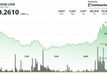 دوج كوين يصعد 3% مجدداً فوق 0.26 دولار وسط توقعات بتجاوز 0.30 دولار