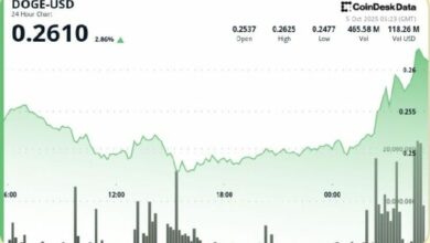 دوج كوين يصعد 3% مجدداً فوق 0.26 دولار وسط توقعات بتجاوز 0.30 دولار