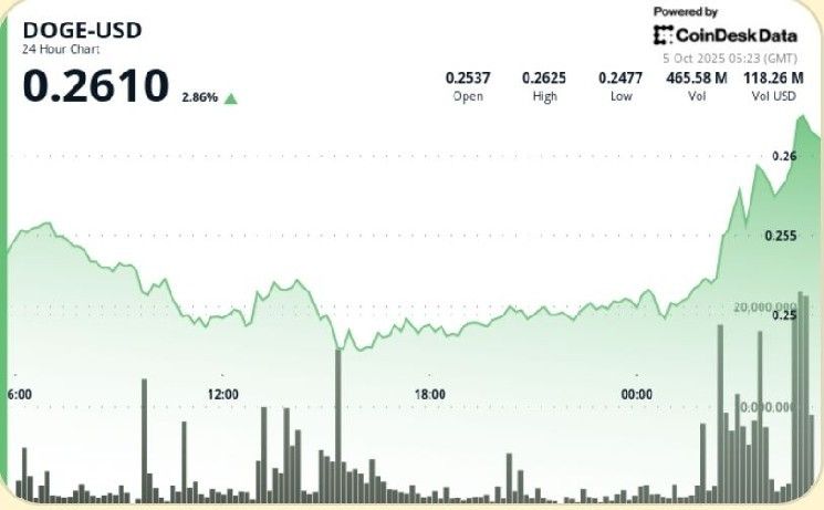 دوج كوين يصعد 3% مجدداً فوق 0.26 دولار وسط توقعات بتجاوز 0.30 دولار