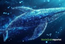 حيتان التشفير تتجه إلى تراكم عملة FF وسط انهيار سعر Falcon Finance بنسبة 37.9%