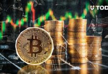 بيتكوين قد ترتفع 40% بحلول نوفمبر 2025.. التاريخ السعرى يكشف المفاجآت