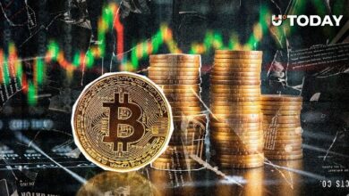 بيتكوين قد ترتفع 40% بحلول نوفمبر 2025.. التاريخ السعرى يكشف المفاجآت