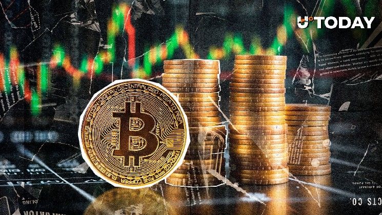 بيتكوين قد ترتفع 40% بحلول نوفمبر 2025.. التاريخ السعرى يكشف المفاجآت