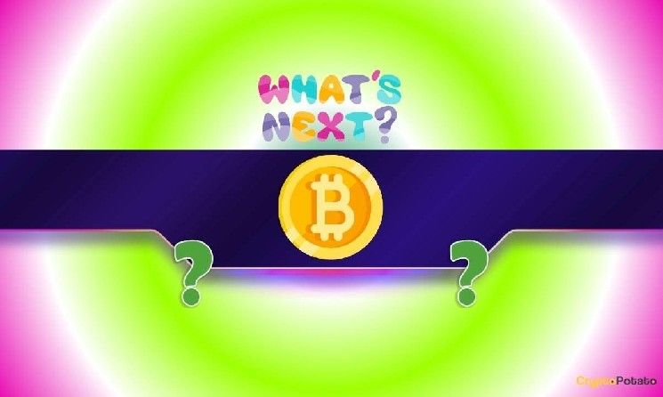 بيتكوين (BTC) عند نقطة حاسمة: هل سيقفز إلى 123 ألف دولار أم يهوي إلى 94 ألف؟