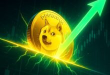 انطلاق كبير للدوجكوين على الأبواب؟ محلل يحث المستثمرين على "اليقظة والانتباه"