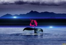 حيتان بينانس تشتري بصمت عملة يوني سواب وسط ضعف السوق