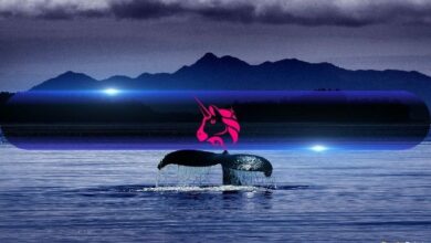 حيتان بينانس تشتري بصمت عملة يوني سواب وسط ضعف السوق