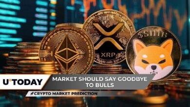 توقعات سوق العملات الرقمية: إكس آر بي عند 2 دولار وأمل جديد لشيبا إينو قبل 0.00001 دولار بينما الإيثيريوم عند نقطة حرجة