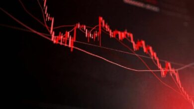 انهيار مدوي للعملات الرقمية البديلة.. هذه الأصول شهدت أكبر الخسائر