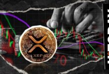 مُقتَنو XRP يثبتون صمودًا رغم هبوط السعر 50%