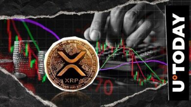 مُقتَنو XRP يثبتون صمودًا رغم هبوط السعر 50%