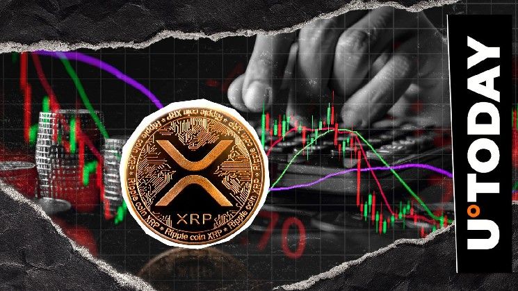 مُقتَنو XRP يثبتون صمودًا رغم هبوط السعر 50%
