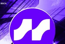 طبقة الرافعة المالية الشاملة من Avantis: نظرة عامة على بروتوكول التمويل اللامركزي على بلوكشين Base