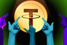 الرئيس التنفيذي ومؤسس Plasma بول فاكس يدافع عن فريقه وسط عمليات بيع XPL