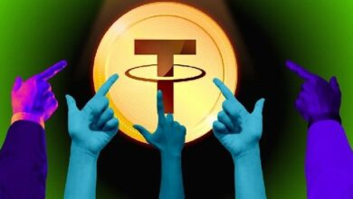 الرئيس التنفيذي ومؤسس Plasma بول فاكس يدافع عن فريقه وسط عمليات بيع XPL