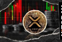 انخفاض XRP بنسبة 19% في مقياس حاسم مع فشل السعر في استعادة مستوى 3 دولارات