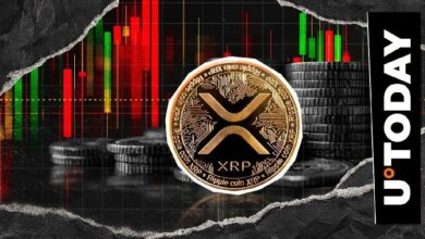 انخفاض XRP بنسبة 19% في مقياس حاسم مع فشل السعر في استعادة مستوى 3 دولارات