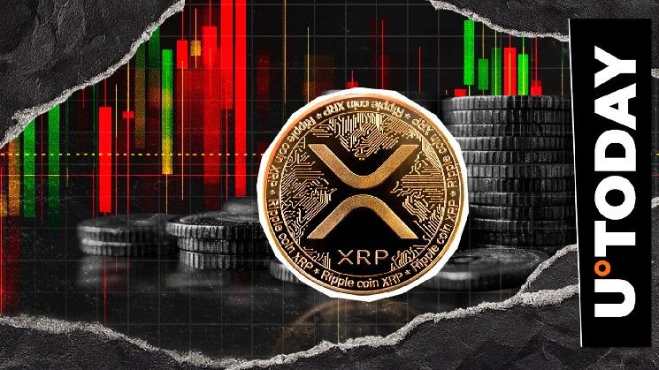 انخفاض XRP بنسبة 19% في مقياس حاسم مع فشل السعر في استعادة مستوى 3 دولارات