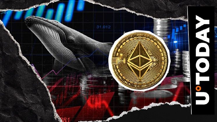 إيثيريوم تعود إلى دائرة اهتمام الحيتان بعد هبوط السعر 12%