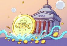 إصدار 250 مليون عملة USDC: ما الرسائل الخفية وراء هذه الكميات الهائلة؟