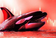 متى سيحدث الانهيار الكبير القادم لسوق العملات الرقمية؟ الإجابة ستفاجئك