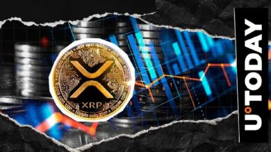إمدادات XRP تتقلص: هل تستعد ريبل لخطوة كبيرة؟