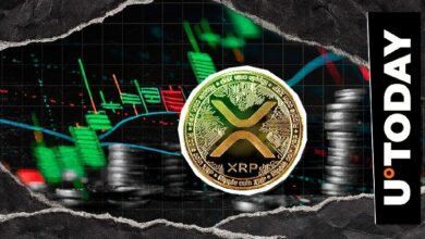 عملة XRP تتحدى مخاوف المستثمرين الأفراد
