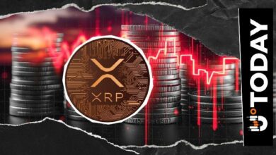عملة XRP تشهد خللاً غير طبيعي في التصفيات بنسبة 293,152% خلال مجزرة صعودية ساعية