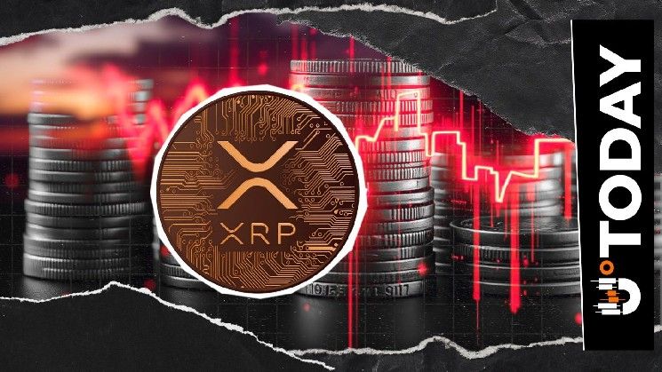 عملة XRP تشهد خللاً غير طبيعي في التصفيات بنسبة 293,152% خلال مجزرة صعودية ساعية