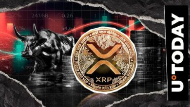 شهد XRP ارتفاعًا صاروخيًا بنسبة ٤٣٣٥٪ في اختلال السيولة الساعي.. ما التوقعات下一步؟
