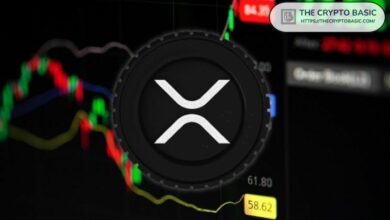 مؤسس Web3 Alert: لا يمكن للتشكيك أن يغير حقيقة أن XRP في طريقه للوصول إلى 10 أضعاف قيمته