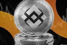 تراجع BNB بعد إدراج روبينهود وكوين بيز للعملة في أعقاب ارتفاعها القياسي