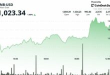 عملة BNB تتجه للصعود بدعم مجتمعي بعد اختراق حساب X