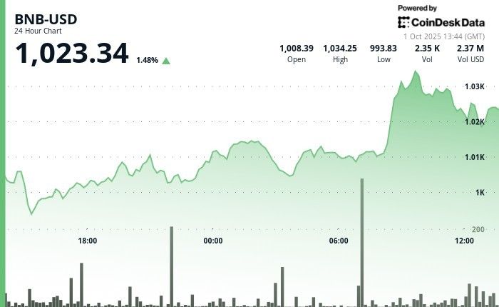 عملة BNB تتجه للصعود بدعم مجتمعي بعد اختراق حساب X