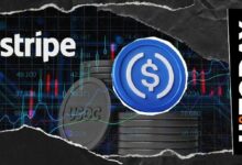 تحويلات Stripe من USDC تتجاوز 100 مليون دولار على شبكات Polygon وBase وEthereum