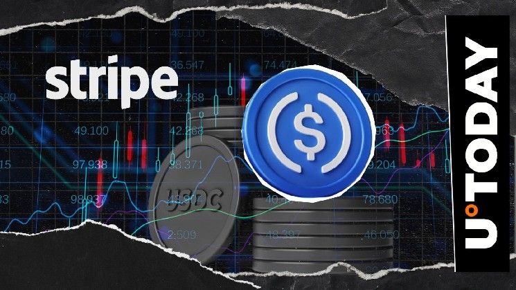 تحويلات Stripe من USDC تتجاوز 100 مليون دولار على شبكات Polygon وBase وEthereum