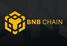 حجم تداول عملات الميم على شبكة BNB يحطم الأرقام القياسية! ماذا يعني ذلك؟ كل التفاصيل هنا