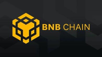 حجم تداول عملات الميم على شبكة BNB يحطم الأرقام القياسية! ماذا يعني ذلك؟ كل التفاصيل هنا