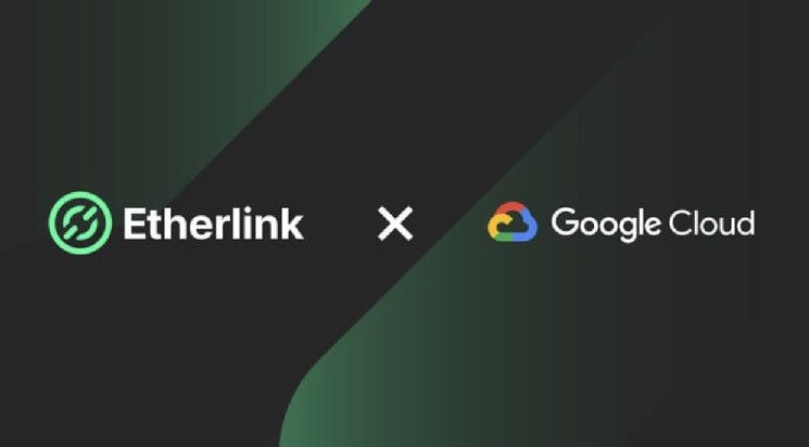 سحابة جوجل تتعاون مع إثيرلينك من تيزوس لتسريع وتيرة تطوير ويب 3